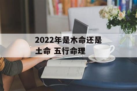 2024 属性|2024年是木命还是火命 2024年金木水火土五行查询